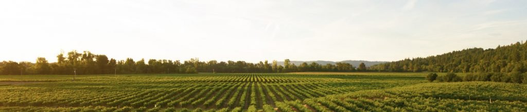 Farm For Sale in Udaipur