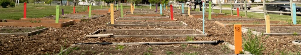 Residential Plots in Sector-14